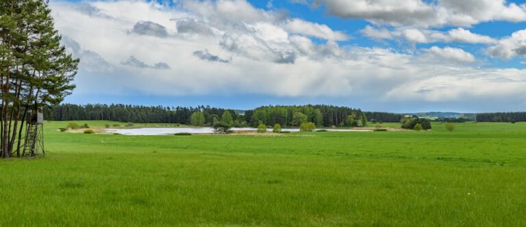 Juno’s high spatial resolution ultraviolet observations of Ganymede’s auroral patches Constraints on the magnetospheric source region – ESS Open Archive