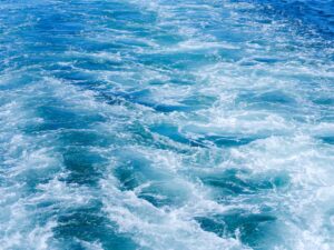 Directional Dynamics of Fog: Irreversibility and Causal Coupling with Turbulence – ESS Open Archive