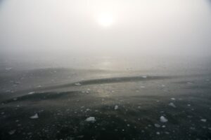 Optimal Atmospheric Drivers of Sea Surface Temperature Variability in the Southern Ocean – ESS Open Archive