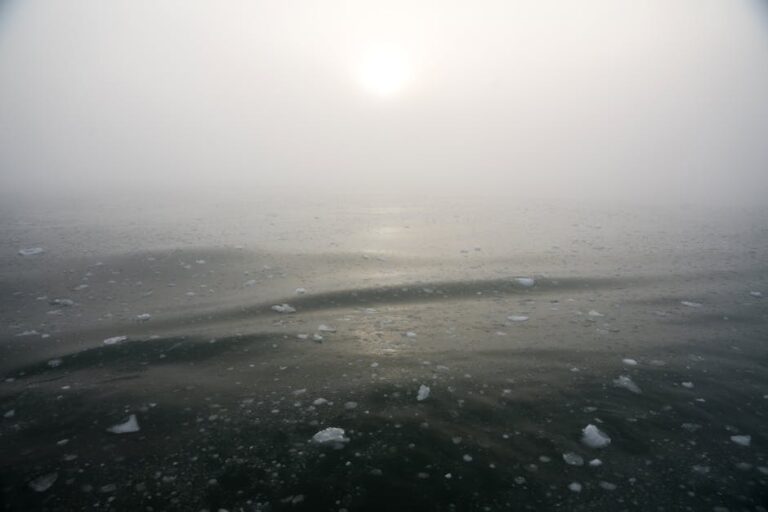 Optimal Atmospheric Drivers of Sea Surface Temperature Variability in the Southern Ocean – ESS Open Archive