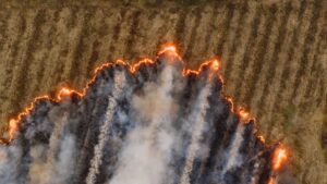 Laboratory use of a Closed-Path “Industrial Emissions” FTIR Spectrometer for High-Concentration Sampling of Biomass Burning Smoke and Retrieval of Fire Emission Factors – ESS Open Archive