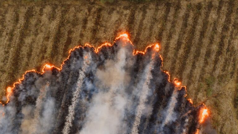 Laboratory use of a Closed-Path “Industrial Emissions” FTIR Spectrometer for High-Concentration Sampling of Biomass Burning Smoke and Retrieval of Fire Emission Factors – ESS Open Archive