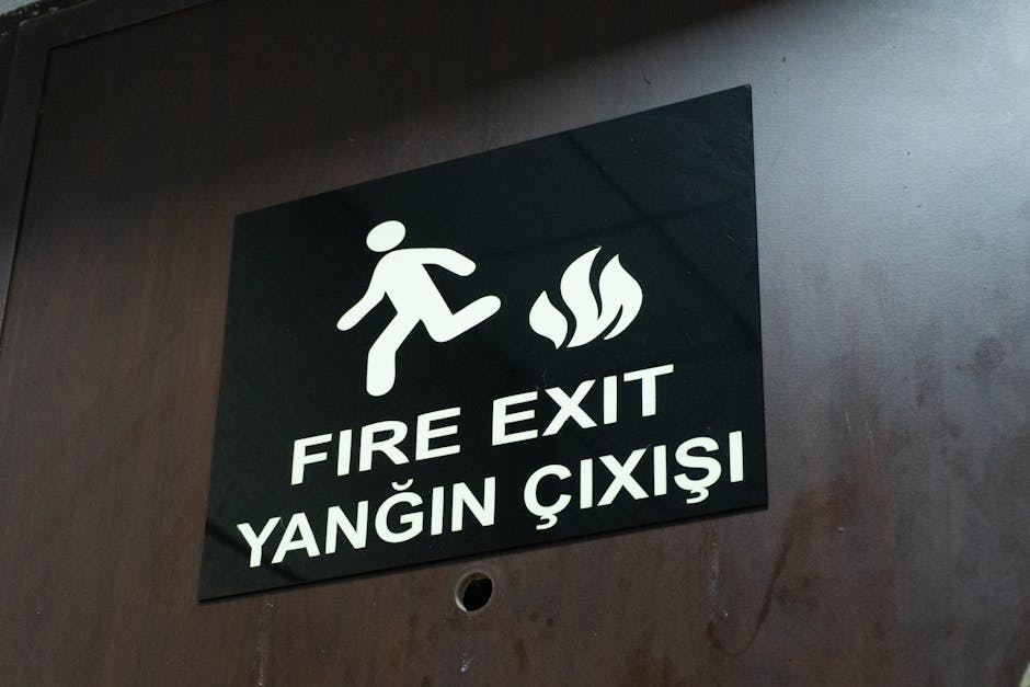 ‘Who’s your best XI?’: Ricky Ponting warns India to return to ‘basics’ or risk T20 World Cup exit – The Times of India