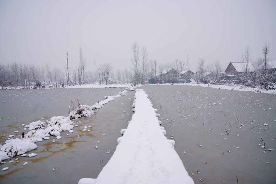 Not Kashmir! Pune wakes up to ‘snowfall’ scenes as hailstorm blankets Hinjewadi – The Times of India