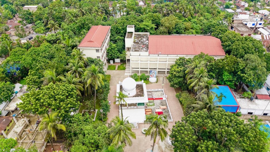 ‘Red corridor’ will be crushed by March 31, says Amit Shah – The Times of India