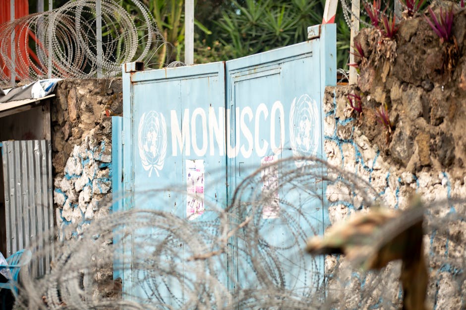 Centre reviews Ebola preparedness as death toll crosses 100 in DR Congo, Uganda - The Times of India: What You Need To Know